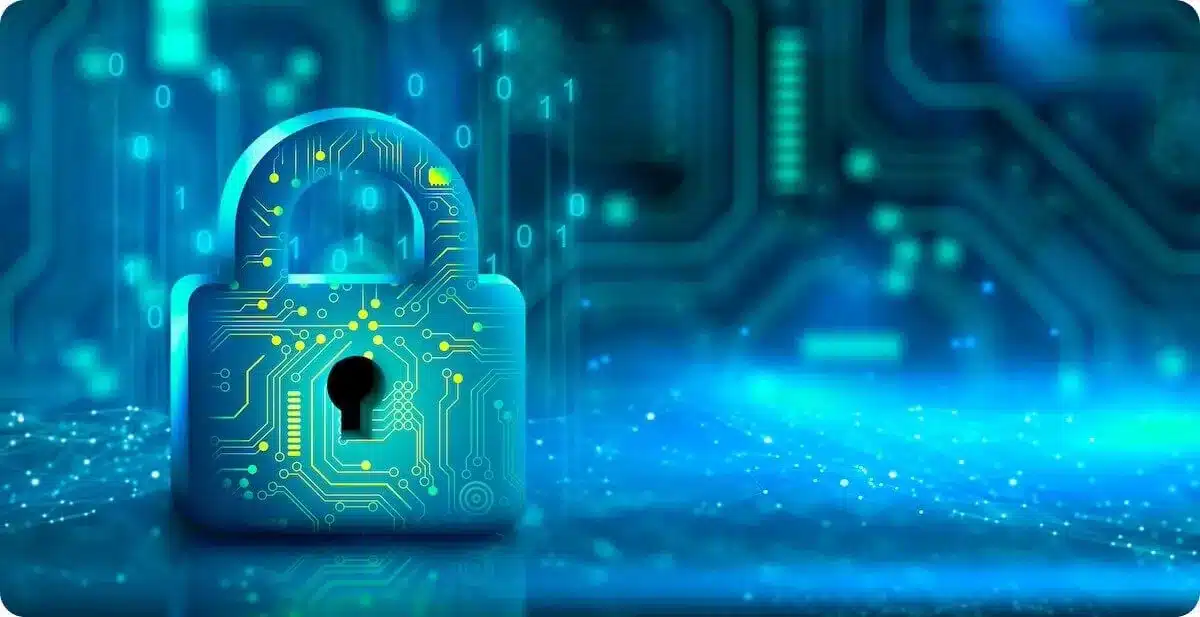 用户权益与隐私管理