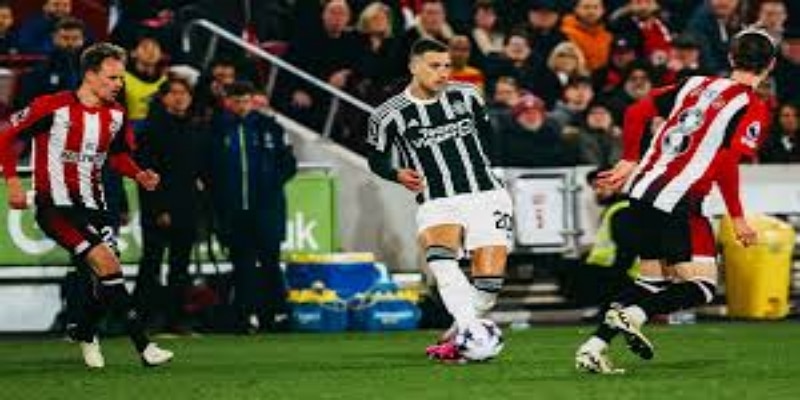 从底层到高峰的成长之路-开云体育