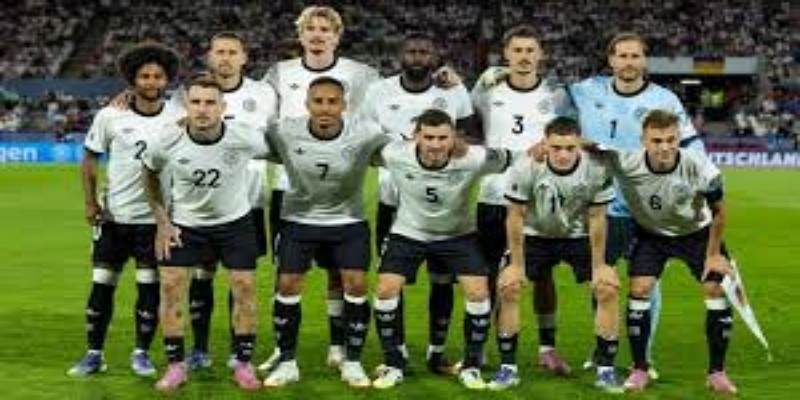 历史数据与未来展望-开云体育