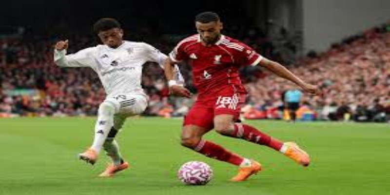 观赛指南与独家解说-开云体育