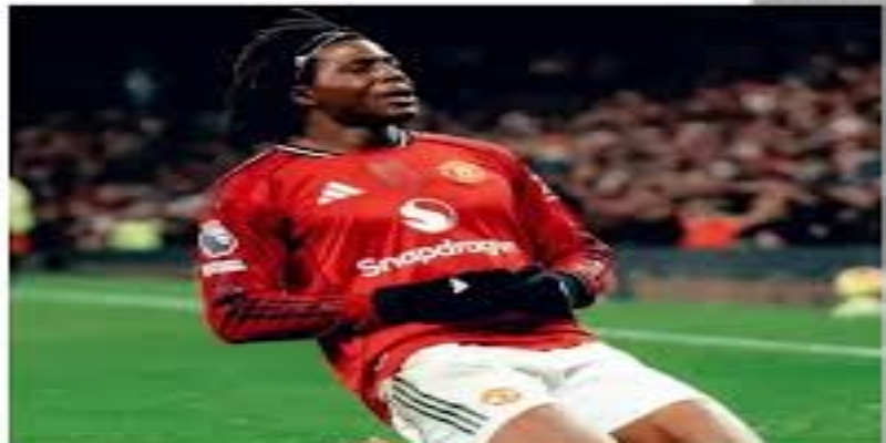 伊布征战英超：年龄不是障碍，胜利才是目标-开云体育