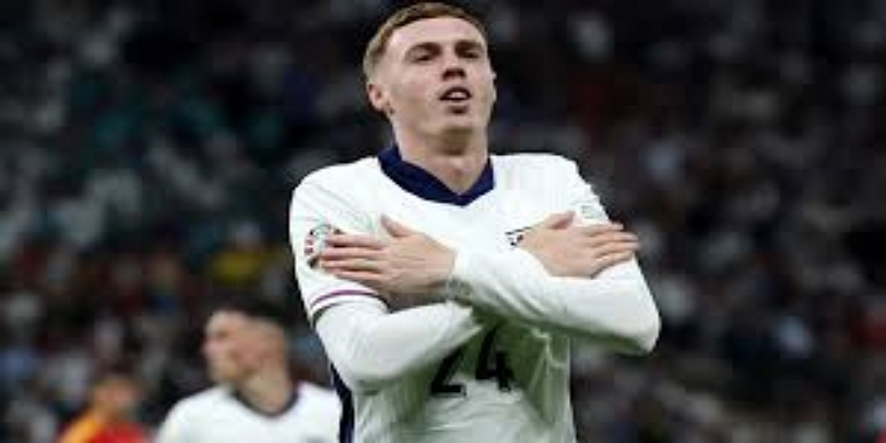 帕尔默现象：数据说明一切-开云体育